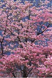 恐怖游戏《消极氛围》预告 灵感源于《死亡空间》